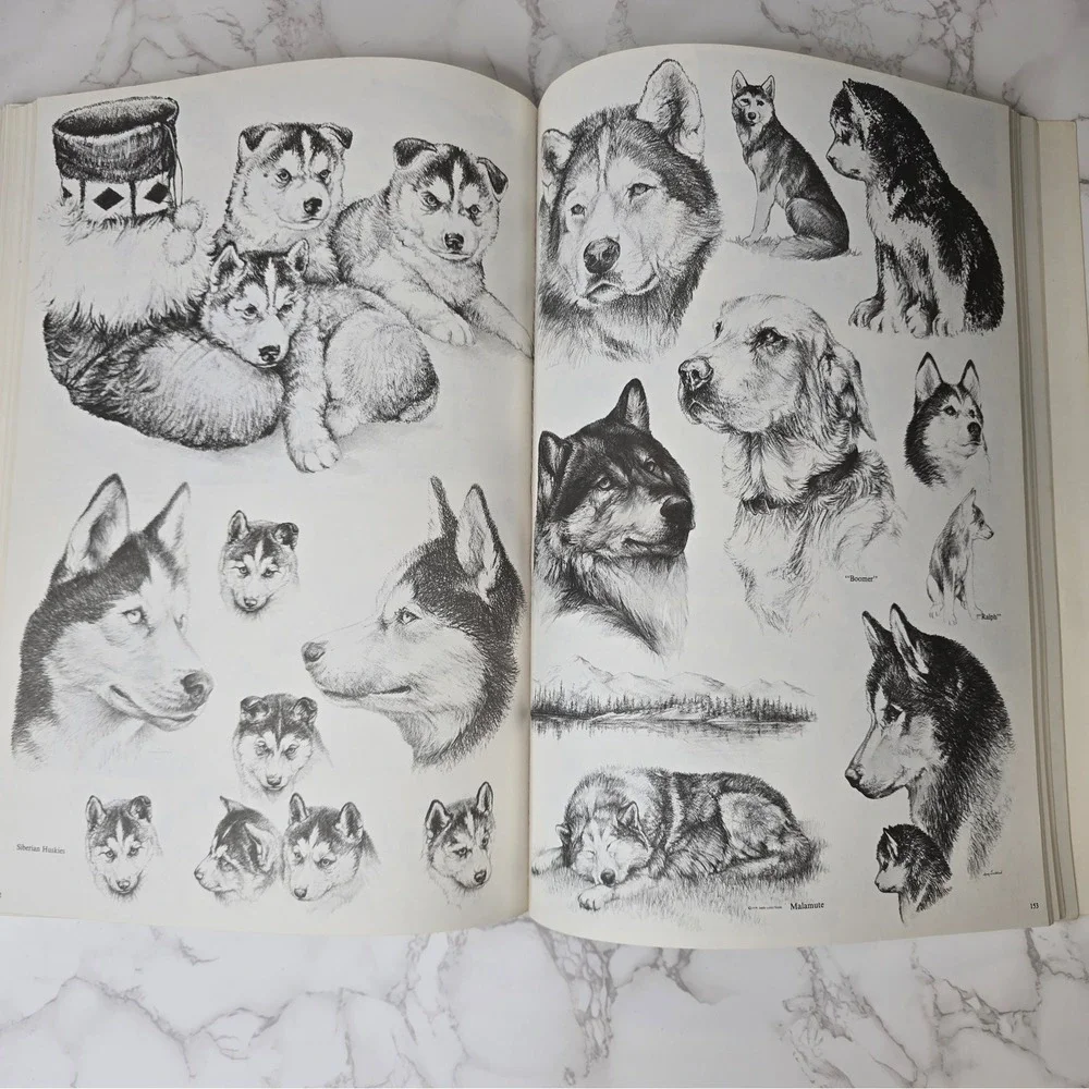 Signed Doug Lindstrands Alaskan Sketchbook 6th Ed 1983 Wildlife Art Photo Guide